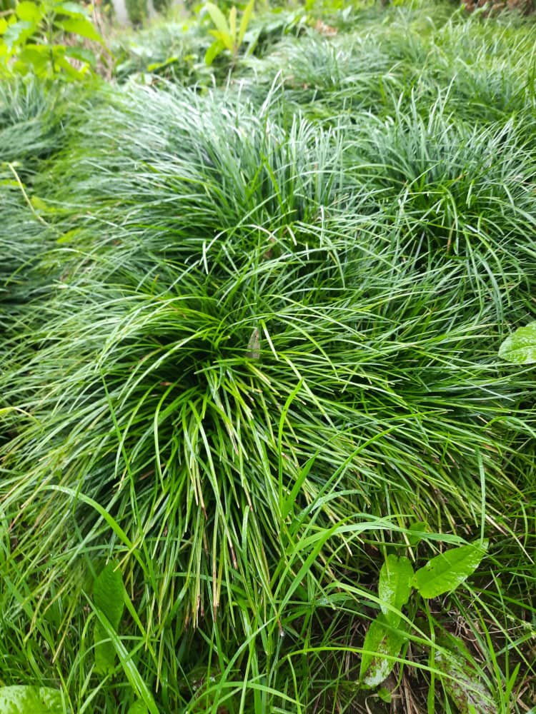 بهره‌گیری از فناوری‌های نوین